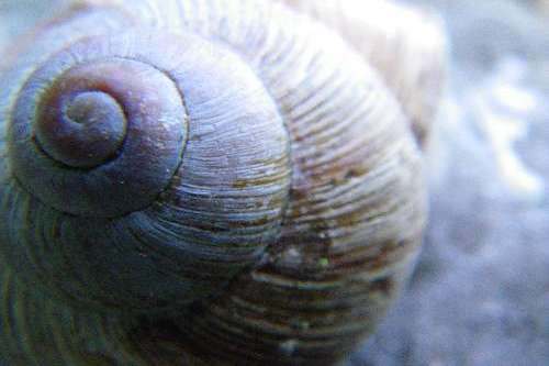 Hypnose zum Abnehmen